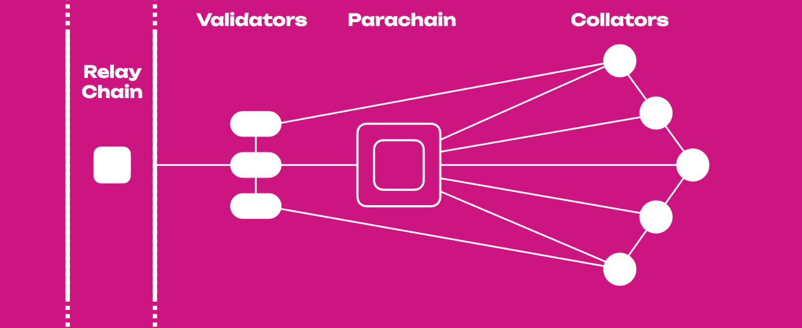 Polkadot Review