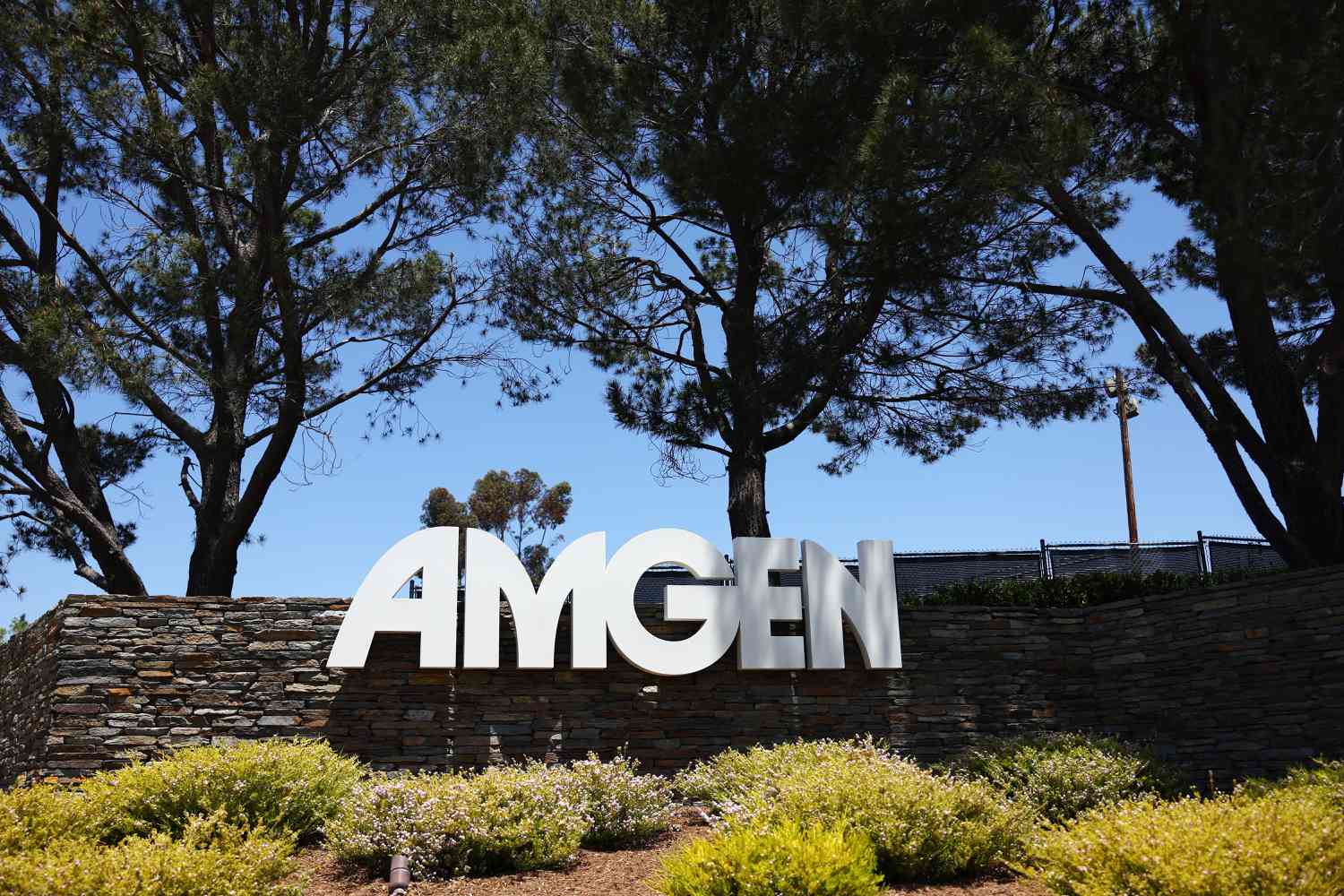 The Amgen logo is displayed outside Amgen headquarters on May 17, 2023 in Thousand Oaks, California