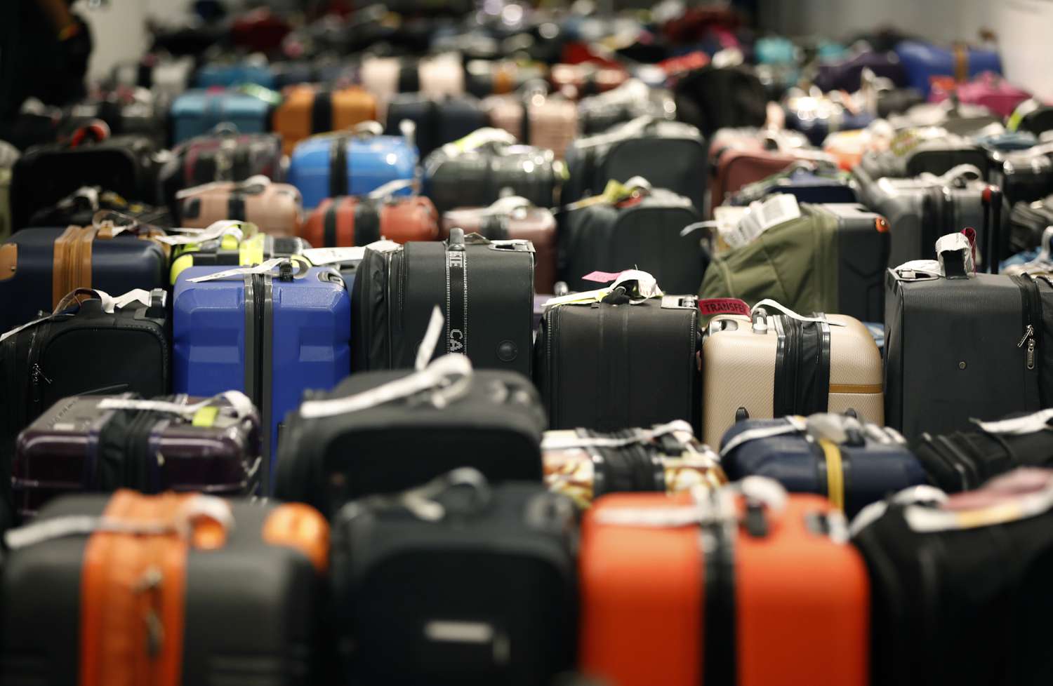 Luggage sits in rows at Los Angeles International Airport. 