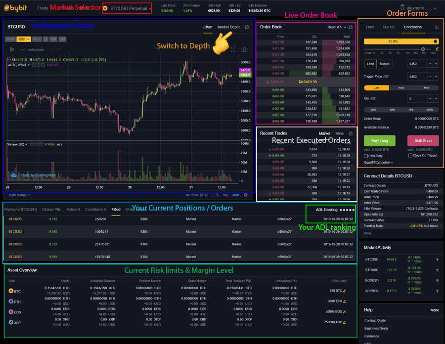 ByBit User Interface