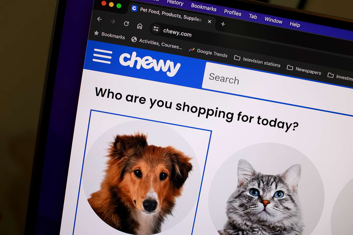 Chewy website is displayed on a screen