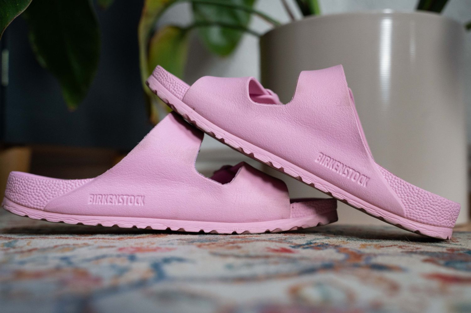 A pair of pink Birkenstock sandals are seen on the floor in front of multiple potted plants.