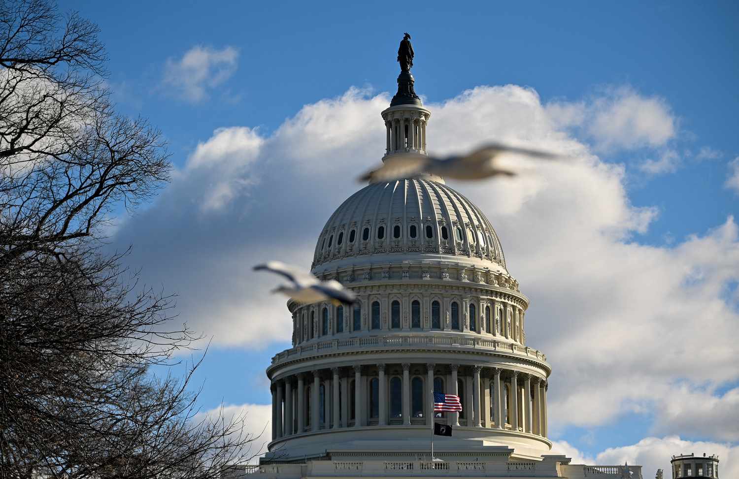 The US Capitol