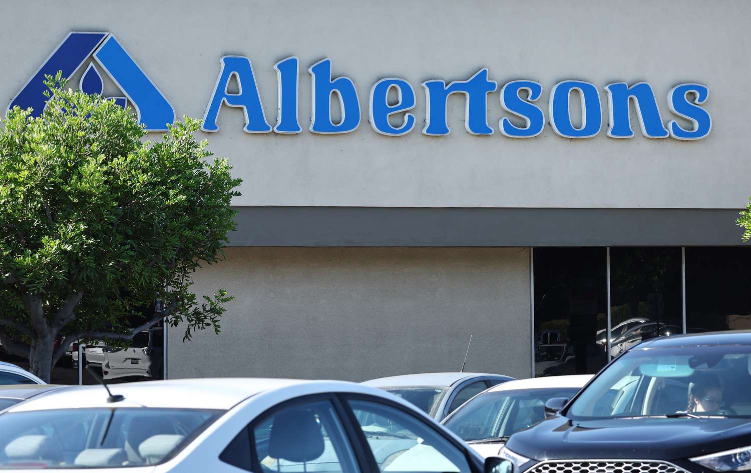 The tops of cars are seen in front of the side of an Albertsons grocery store, with a tree on the left side of the picture.