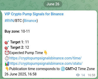Crypto market signal proof: RVN pump on Binance, 26 June 2025, 19:21 RVN pump signal verification from Binance, timestamp: 26 June 2025, 19:21