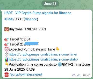 Binance exchange signal proof for GNS, 28 June 2025, 08:00 Binance exchange signal proof for GNS, 28 June 2025, 08:00