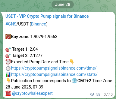 Market signal verification: GNS on Binance at 28 June 2025, 08:08 Market signal verification: GNS on Binance at 28 June 2025, 08:08