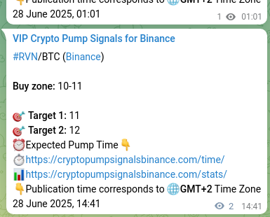 Binance pump signal data for RVN at 28 June 2025, 15:07 Market signal verification: RVN on Binance at 28 June 2025, 15:07
