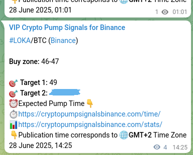 Signal verification: Confirm LOKA pump on Binance at 28 June 2025, 15:13 Authenticated proof of LOKA's pump signal on Binance at 28 June 2025, 15:13