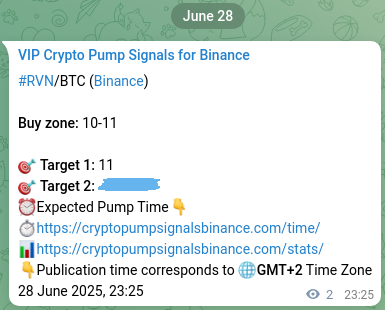 Binance pump signal data for RVN at 28 June 2025, 23:28 Proof of RVN pump signal on Binance at 28 June 2025, 23:28