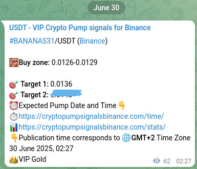 See the verification image for BANANAS31 pump signal on Binance at 30 June 2025, 04:09 Verification image for BANANAS31 pump signal on Binance at 30 June 2025, 04:09