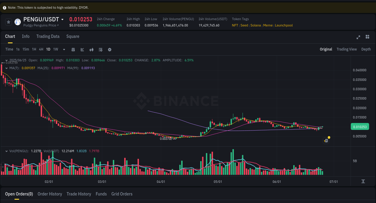 Market analysis: Understand P pump on Binance at 25 June 2025, 15:49 Binance trading report for P pump, 25 June 2025, 15:49