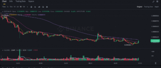 report 20250629 2345 - Report of coin pump on Binance - 29 June 2025
