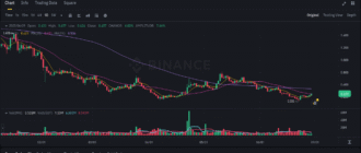 report 20250630 0001 - Report of coin pump on Binance - 30 June 2025