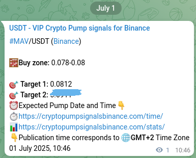 Confirm the Binance trading signal for MAV pump, 01 July 2025, 10:48 Binance trading signal confirmation for MAV pump, 01 July 2025, 10:48