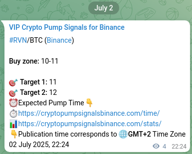 Crypto pump signal proof: Verify RVN on Binance, 02 July 2025, 22:31 RVN pump signal verification from Binance, timestamp: 02 July 2025, 22:31