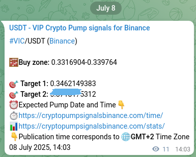 Crypto pump signal proof: Verify VIC on Binance, 08 July 2025, 14:22 Crypto pump signal proof: VIC on Binance, 08 July 2025, 14:22