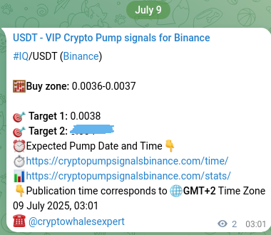 Signal verification: Confirm IQ pump on Binance at 09 July 2025, 03:04 Signal verification: IQ pump on Binance at 09 July 2025, 03:04