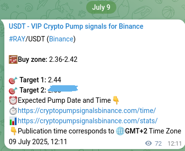 Authenticate the signal for RAY pump on Binance at 09 July 2025, 14:11 Signal authentication: RAY pump on Binance at 09 July 2025, 14:11