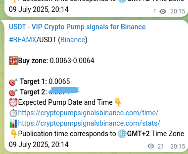 View the proof of BEAMX pump signal on Binance at 09 July 2025, 20:45 Proof of BEAMX pump signal on Binance at 09 July 2025, 20:45