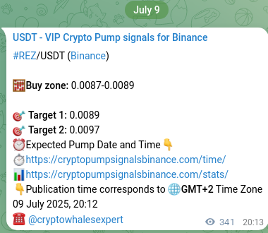 Confirm the crypto trading signal for REZ pump on Binance, 10 July 2025, 05:38 Crypto trading signal confirmation: REZ pump on Binance, 10 July 2025, 05:38