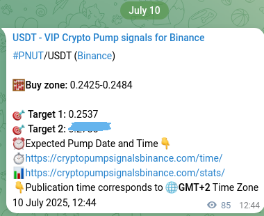 Signal verification: Confirm PNUT pump on Binance at 10 July 2025, 15:05 Signal verification: PNUT pump on Binance at 10 July 2025, 15:05