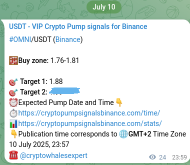 Confirm the trading signal for OMNI pump on Binance at 11 July 2025, 00:29 Trading signal confirmation: OMNI pump on Binance at 11 July 2025, 00:29