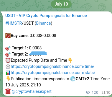 Check the Binance signal verification for HMSTR pump, 11 July 2025, 00:30 Binance signal verification for HMSTR pump, 11 July 2025, 00:30
