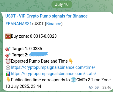 View the signal verification for BANANAS31 on Binance, 11 July 2025, 01:06 BANANAS31 signal verification on Binance, 11 July 2025, 01:06