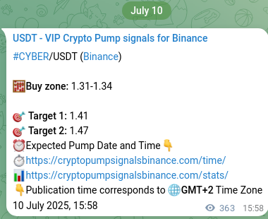 Signal verification: Confirm CYBER pump on Binance at 11 July 2025, 02:03 Signal verification: CYBER pump on Binance at 11 July 2025, 02:03
