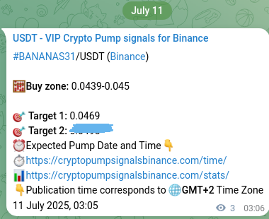 Check the Binance signal verification for BANANAS31 pump, 11 July 2025, 03:10 Binance signal verification for BANANAS31 pump, 11 July 2025, 03:10