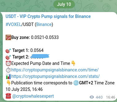 See the authenticated proof of VOXEL's pump signal on Binance, 11 July 2025, 05:00 Authenticated proof of VOXEL's pump signal on Binance, 11 July 2025, 05:00