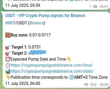 Check the Binance signal verification for NFP pump, 11 July 2025, 14:34 Binance signal verification for NFP pump, 11 July 2025, 14:34