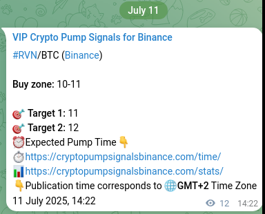 Real-time proof of RVN pump signal on Binance, 11 July 2025, 14:42 RVN pump signal verification from Binance, timestamp: 11 July 2025, 14:42