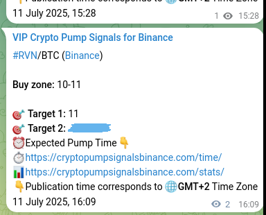 Authenticated proof of RVN's pump signal on Binance at 11 July 2025, 16:13 Binance pump signal proof for RVN on 11 July 2025, 16:13