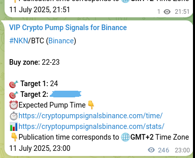 Crypto market signal proof: NKN pump on Binance, 12 July 2025, 05:50 Crypto market signal proof: NKN pump on Binance, 12 July 2025, 05:50
