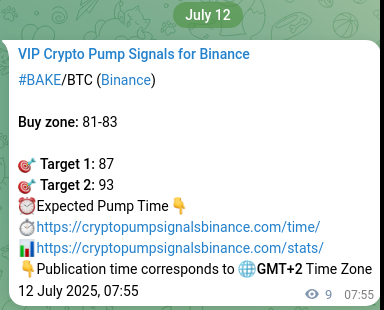 Crypto trading signal proof: BAKE pump on Binance, 12 July 2025, 08:09 Binance pump signal data for BAKE at 12 July 2025, 08:09