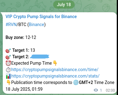 Trading verification: Confirm RVN signal accuracy on Binance, 18 July 2025, 02:03 Signal verification: RVN pump on Binance at 18 July 2025, 02:03
