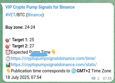 Signal performance review: VET pump authentication on Binance, 18 July 2025, 07:59 Trading accuracy: VET signal validation on Binance, 18 July 2025, 07:59