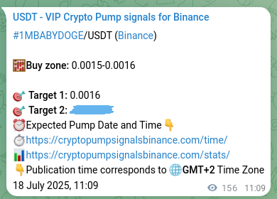 Risk-adjusted verification: 1MBABYDOGE pump signal quality on Binance, 18 July 2025, 15:29