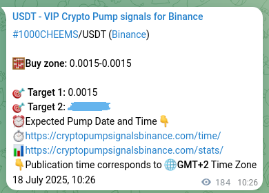 Probability confirmation: 1000CHEEMS trading signal success on Binance, 18 July 2025, 15:31