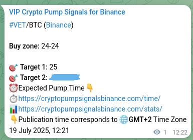 Market proof analysis: VET pump signal validation on Binance, 19 July 2025, 12:24 VET pump signal verification from Binance, timestamp: 19 July 2025, 12:24