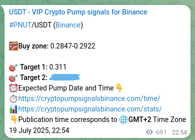 Analytical confirmation: PNUT trading signal precision on Binance, 20 July 2025, 18:07