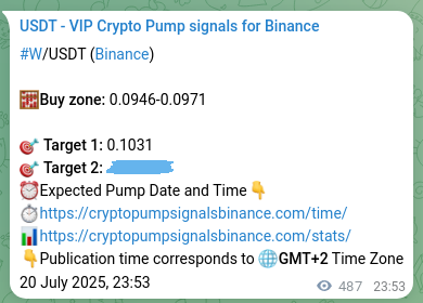 Confirm the Binance trading signal for W pump, 21 July 2025, 13:25 Binance trading signal confirmation for W pump, 21 July 2025, 13:25