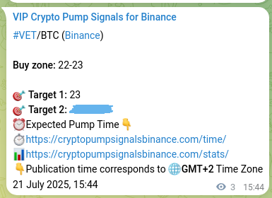 Crypto market signal proof: VET pump on Binance, 21 July 2025, 15:49 Pump evidence: VET signal delivery on Binance, 21 July 2025, 15:49