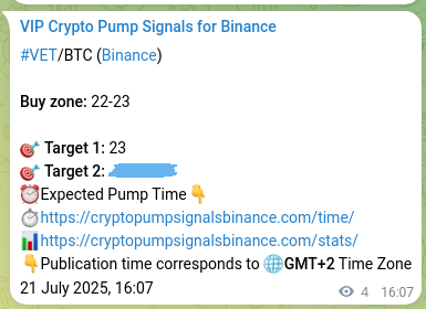 Real-time proof of VET pump signal on Binance, 21 July 2025, 16:13 Market validation: VET pump proof on Binance, 21 July 2025, 16:13