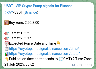 Validate algorithmic accuracy: RAY pump signal proof on Binance, 21 July 2025, 17:14 Algorithmic validation: RAY pump signal accuracy on Binance, 21 July 2025, 17:14