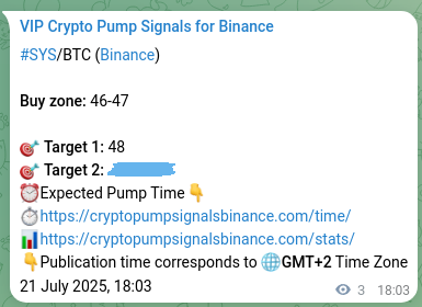 Binance pump signal data for SYS at 21 July 2025, 18:09 Trading proof: SYS signal execution on Binance, 21 July 2025, 18:09