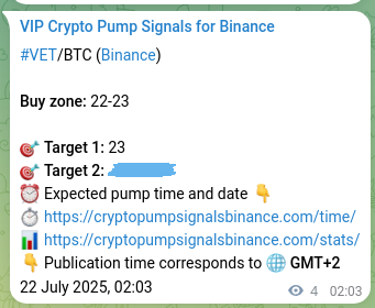 Signal performance review: VET pump authentication on Binance, 22 July 2025, 02:09 Binance exchange signal proof for VET, 22 July 2025, 02:09