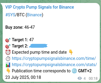 Market proof: SYS pump signal validation on Binance, 23 July 2025, 00:25